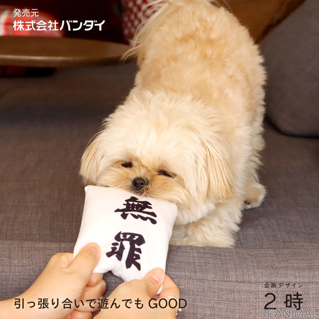 「判決を取ってくる犬用おもちゃ『勝訴マスコット』」