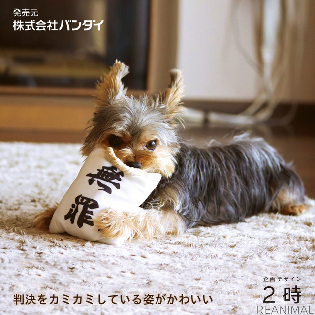 「判決を取ってくる犬用おもちゃ『勝訴マスコット』」