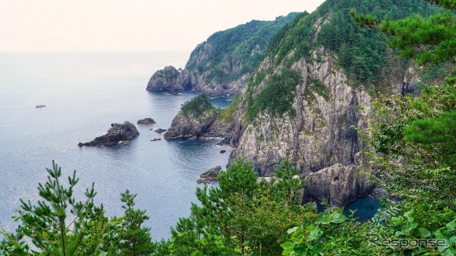 普代村、アンモ浦展望台からの海岸線