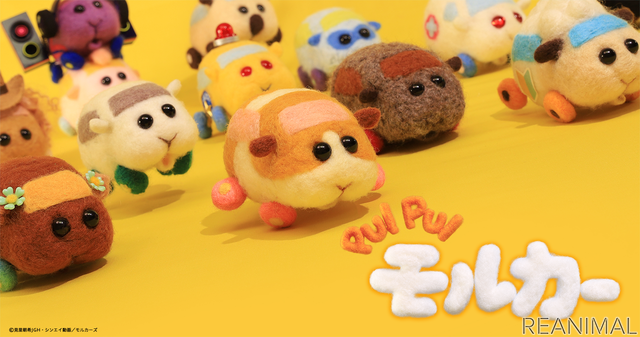 放送1周年記念、TVアニメ『PUI PUI モルカー』再々放送決定