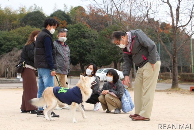 ワンミャツダクラブで保護した犬たちの1歳を祝うお散歩会