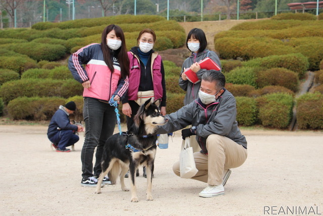 ワンミャツダクラブで保護した犬たちの1歳を祝うお散歩会
