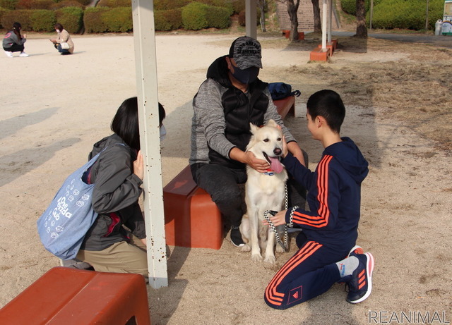 ワンミャツダクラブで保護した犬たちの1歳を祝うお散歩会