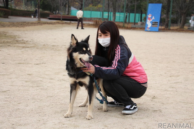 まるちゃん。ちょっと臆病なのでお散歩はいつも同じコースだというが、飼い主さんは「他の犬や人に興味はあるみたい」と話していた