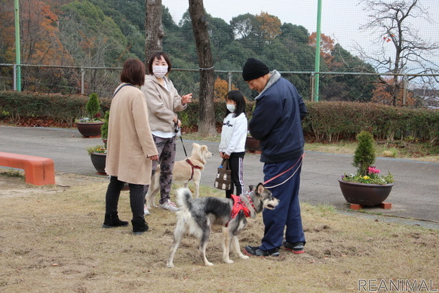 ワンミャツダクラブで保護した犬たちの1歳を祝うお散歩会