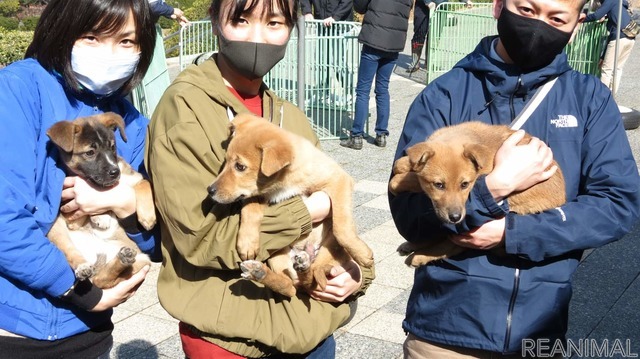 犬のお散歩ボランティア(呉動物愛護センターにて)