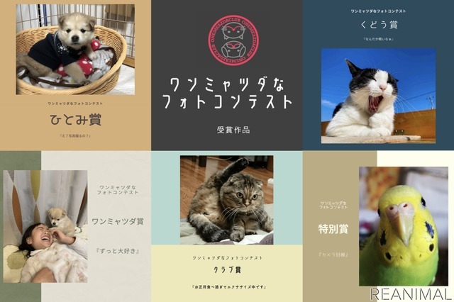 フォトコンテストの受賞作品