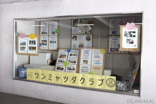 マツダ構内の通路で、ワンミャツダクラブの活動や里親募集情報を掲示