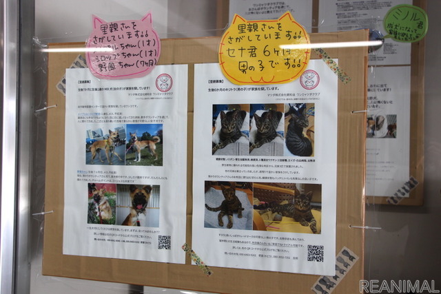 マツダ構内の通路で、ワンミャツダクラブの活動や里親募集情報を掲示