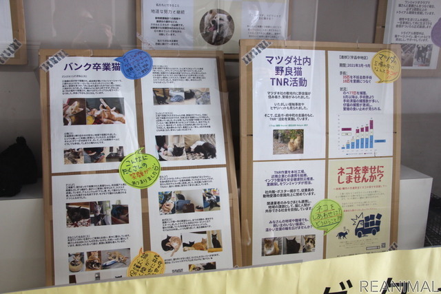 マツダ構内の通路で、ワンミャツダクラブの活動や里親募集情報を掲示