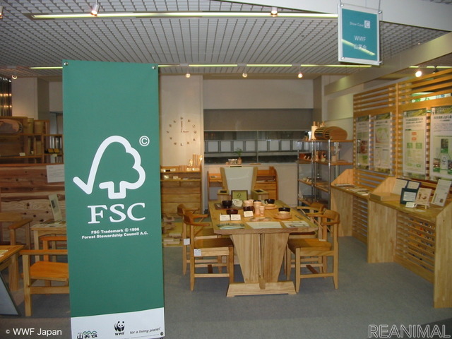 FSC®など森林保全関連の認証制度がある ©WWF Japan