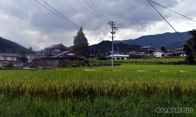 相互車体の周辺にはのどかな光景が広がる