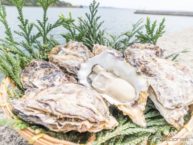 能登牡蠣