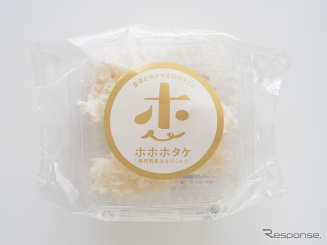ホホホタケ