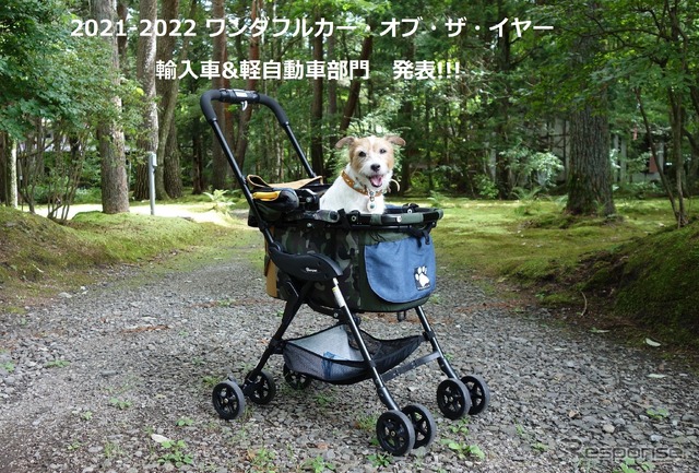 2021年 わんダフルカー・オブ・ザ・イヤー 輸入車&軽自動車部門を発表!