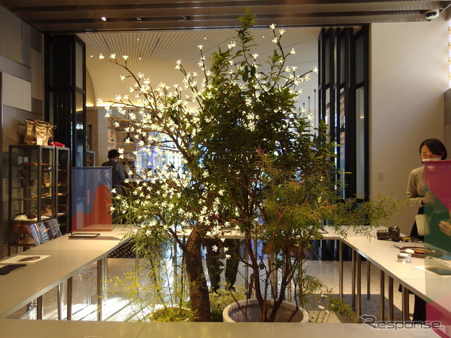 INTERSECT BY LEXUS - TOKYO