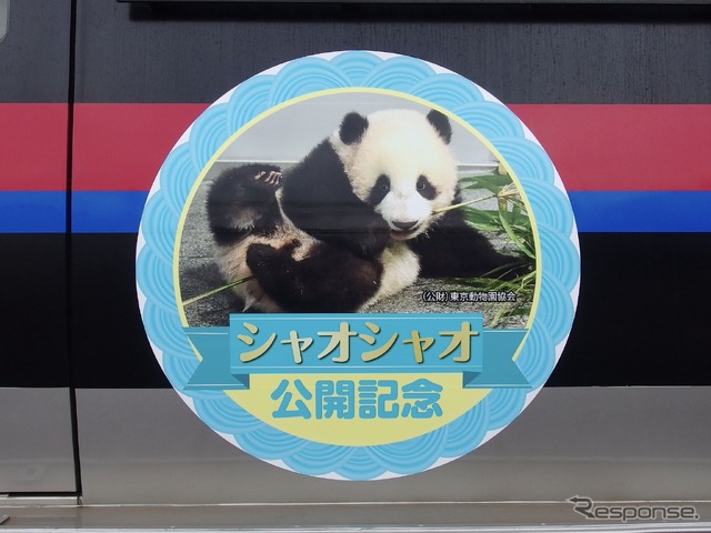 京成・双子パンダヘッドマーク大集合!