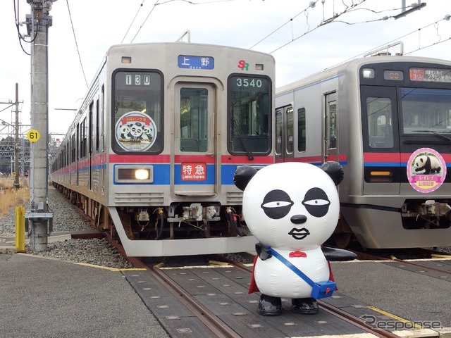 京成パンダ(双子パンダヘッドマーク大集合!)