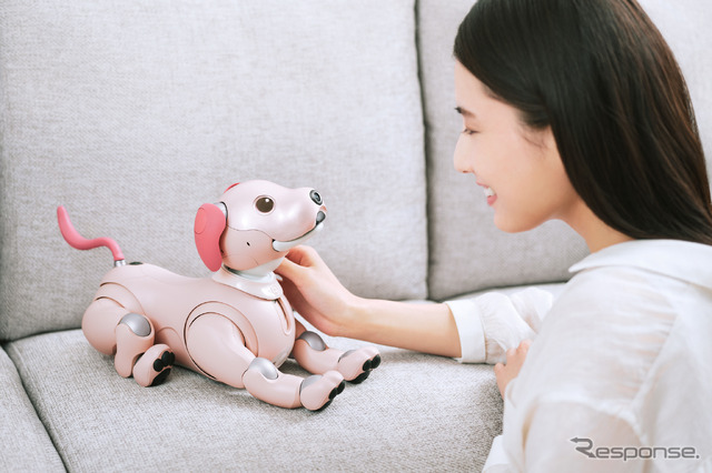 AIロボティクスビジネスグループ:AIロボット「aibo」