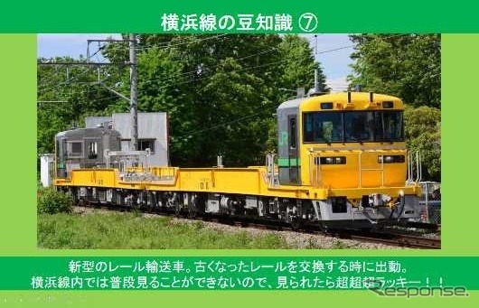 限定電車カード（裏面）