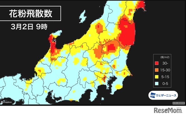 花粉飛散数リアルタイムデータ（イメージ）