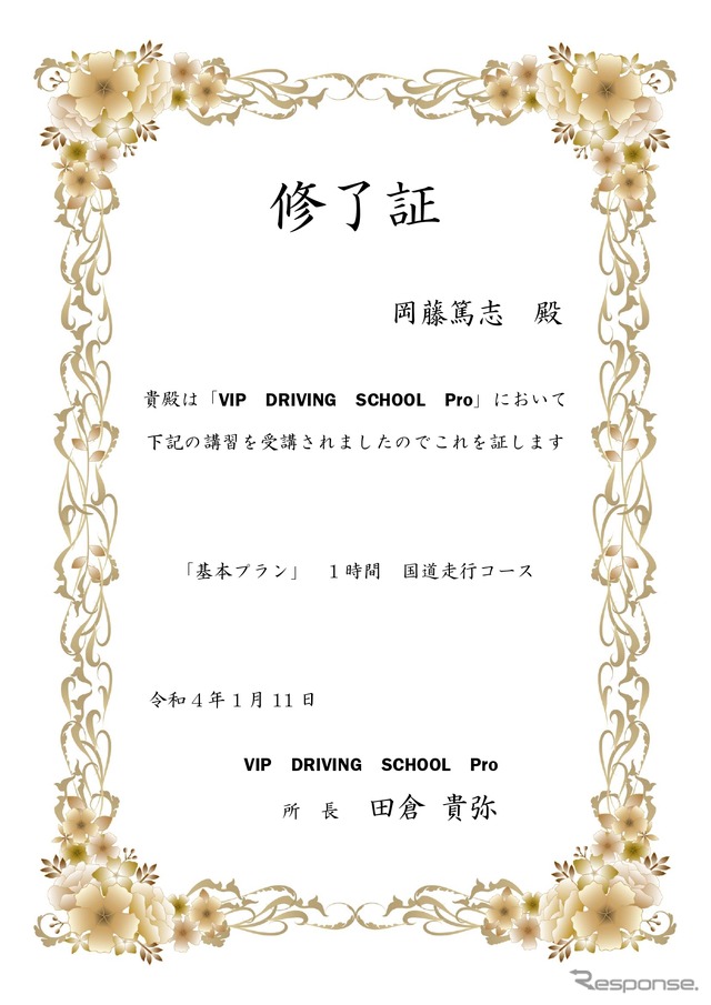 VIP DRIVING SCHOOL Pro