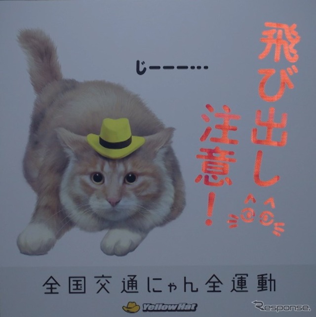 猫飛び出しサイン:夜間ヘッドライトに照射されたイメージ