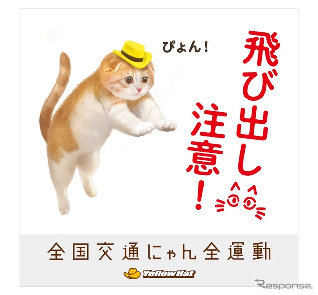 猫飛び出しサイン