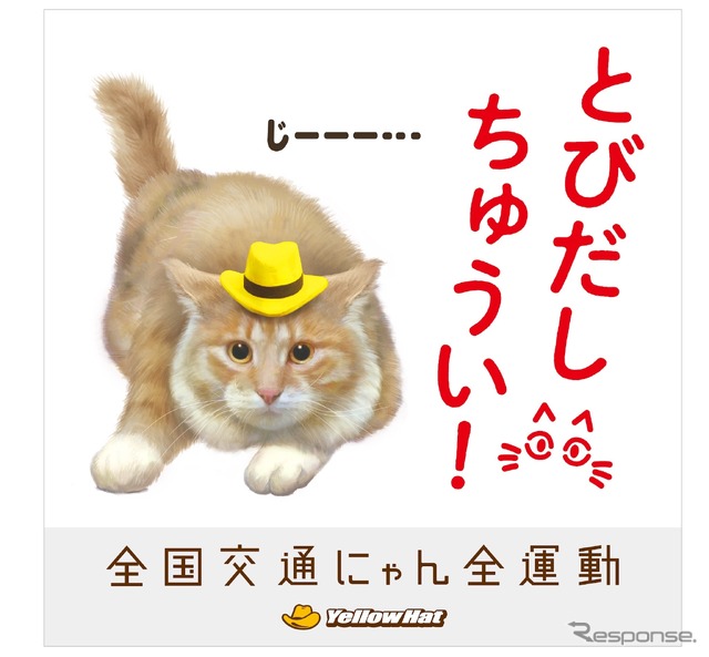 猫飛び出しサイン