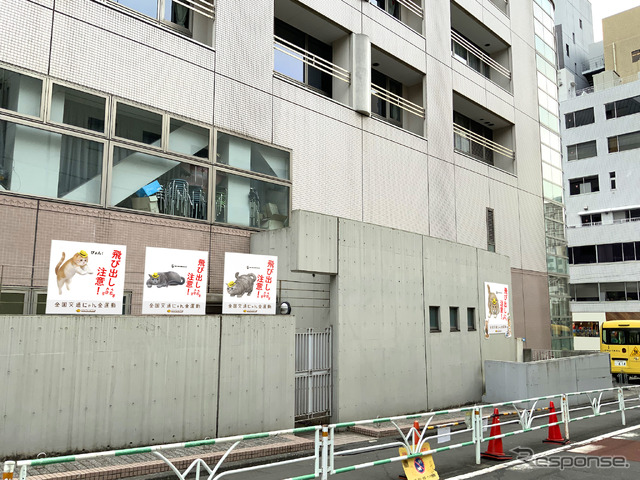 猫飛び出しサイン:渋谷教育学園渋谷中学高等学校