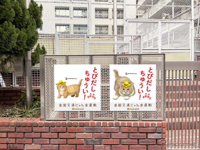 猫飛び出しサイン:渋谷教育学園渋谷中学高等学校