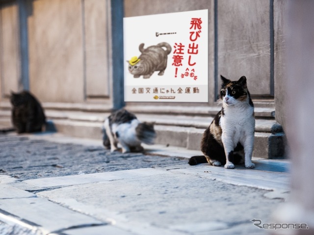 街中に「猫飛び出しサイン」が広まったイメージ