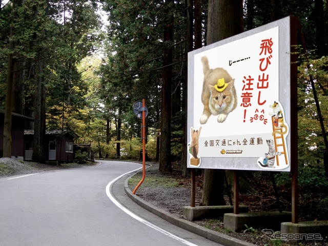 街中に「猫飛び出しサイン」が広まったイメージ