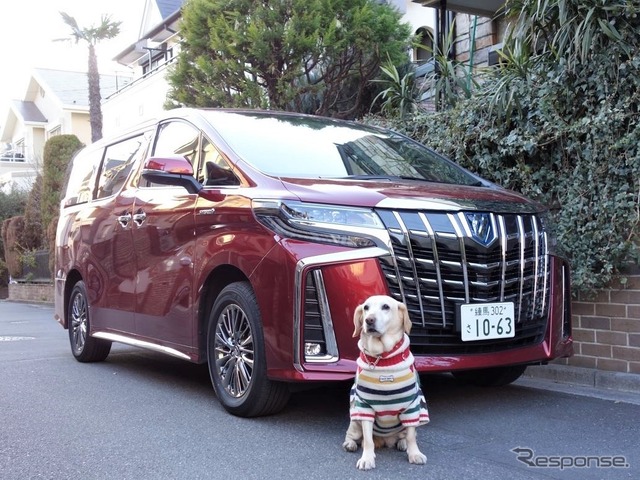 トヨタ アルファード ハイブリッド