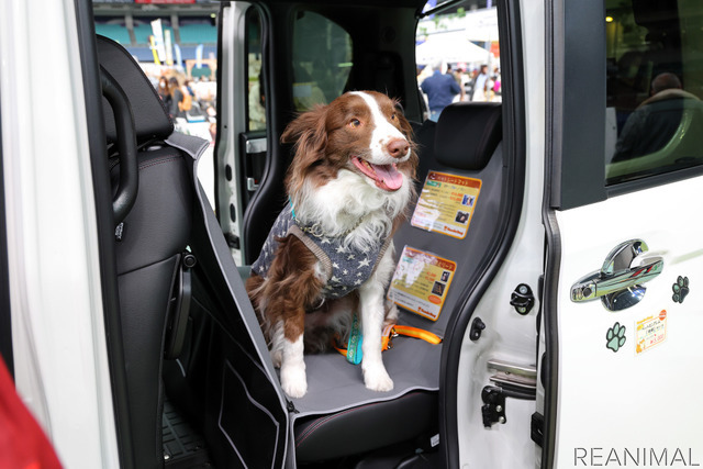Honda Dogブース(わんにゃんドーム2022)