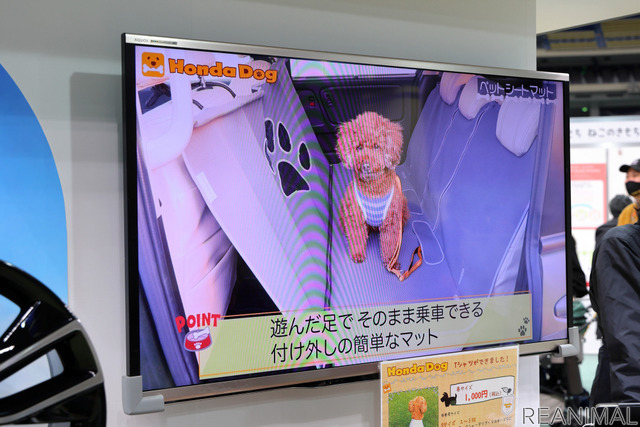 モニターでアクセサリーの使用シーンや使い方を紹介