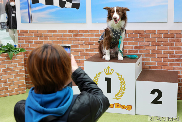 Honda Dogブース(わんにゃんドーム2022)