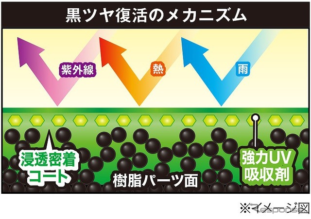 黒ツヤ復活のメカニズム