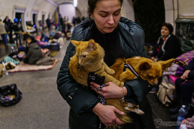 ロシアの侵攻から地下鉄構内に避難するキエフ市民。猫の名前はガーフィールド、犬はヨーダ（3月2日）
