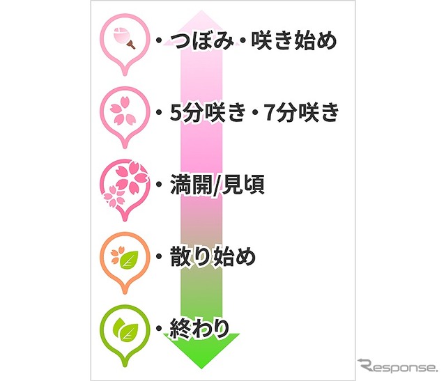 全国桜開花マップ 2022:開花状況と開花ピン