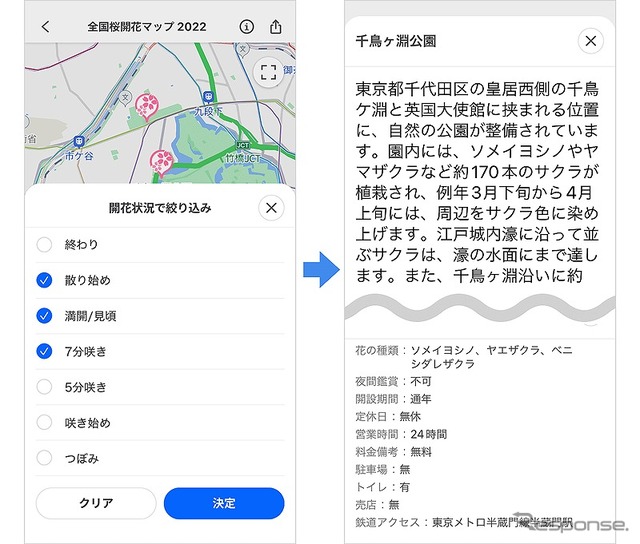 全国桜開花マップ 2022:開花状況で絞り込む方法