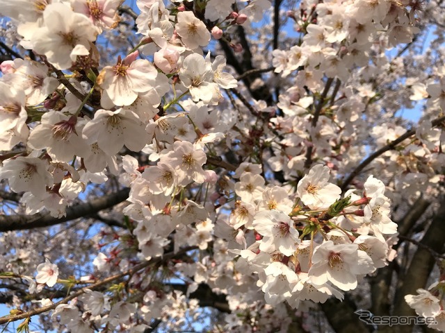 (イメージ)