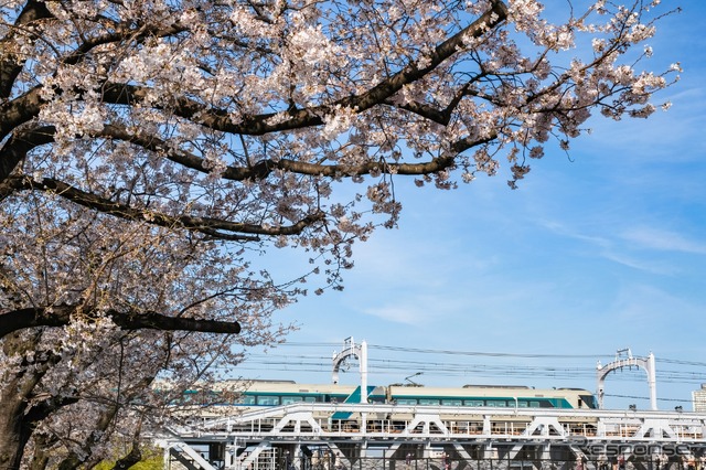 サクラ満開の隅田川橋梁を渡る500系『リバティ』。