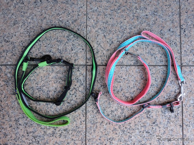 スペアリード&カラー