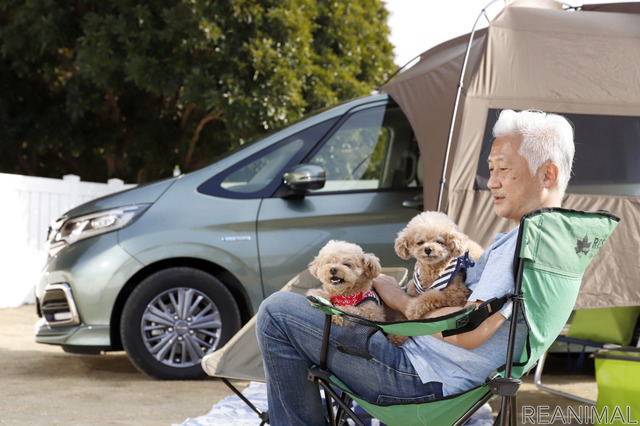 Honda フリード+でわんことキャンプ