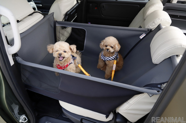 小型犬2頭でもゆったりとしたスペース。サイズは幅約54×長さ約85×高さ前方約38cm、後方約58cm。重さは25kgまで対応している