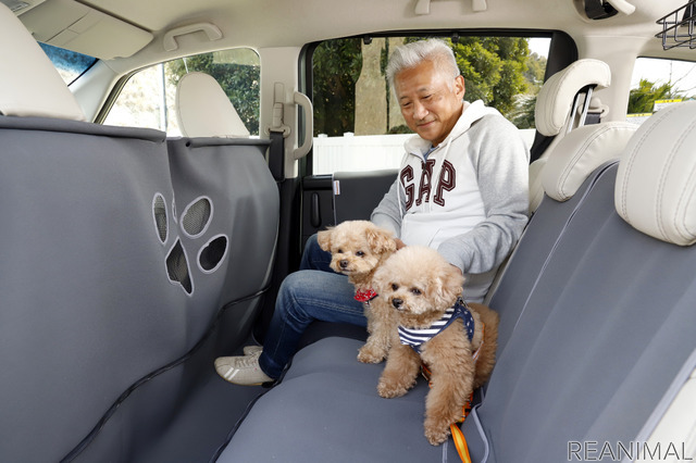 ファスナーを開いて、背もたれ部分をおりかえせば、隣に飼い主が座ることができる(ペットシートマット)