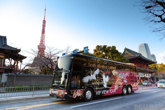 「vipわんツアー!」×「代々木わんわんカーニバル」、東京観光&ドッグイベントを楽しむコラボツアー開催