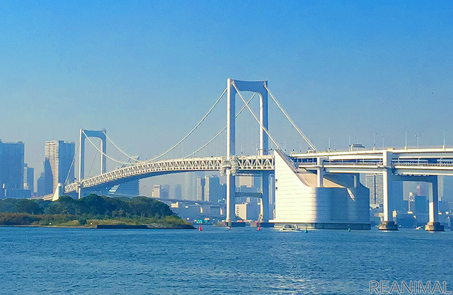 「vipわんツアー!」×「代々木わんわんカーニバル」、東京観光&ドッグイベントを楽しむコラボツアー開催
