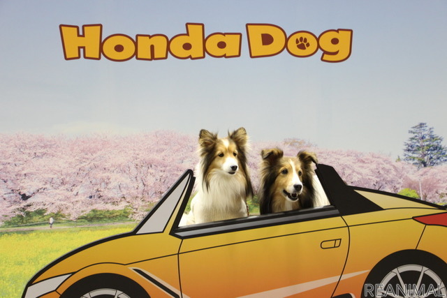 Honda Dogブース(インターペット2022)